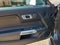 2019 Ford Mustang GT Premium PP2