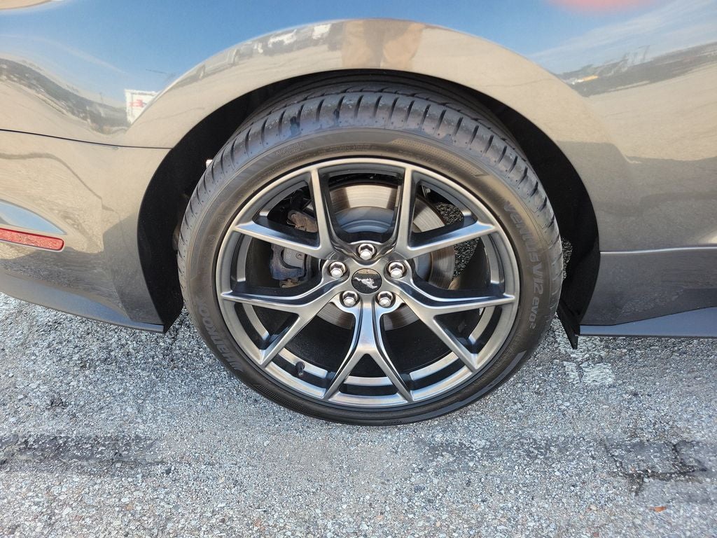2019 Ford Mustang GT Premium PP2