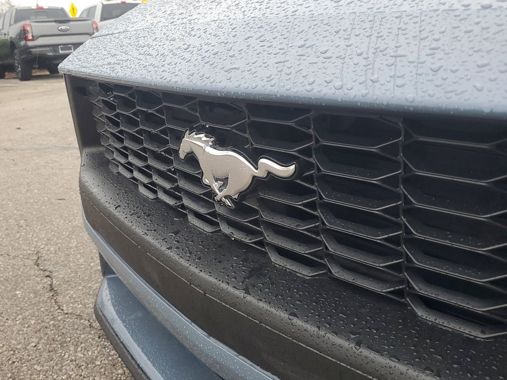 2025 Ford Mustang EcoBoost