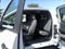 2025 Ford F-350SD XL DRW
