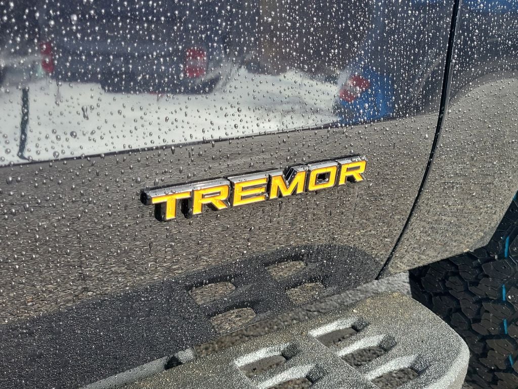 2026 Ford Expedition Tremor