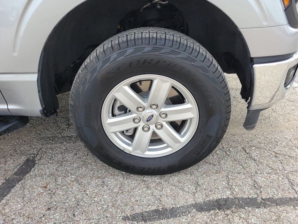 2024 Ford F-150 XL