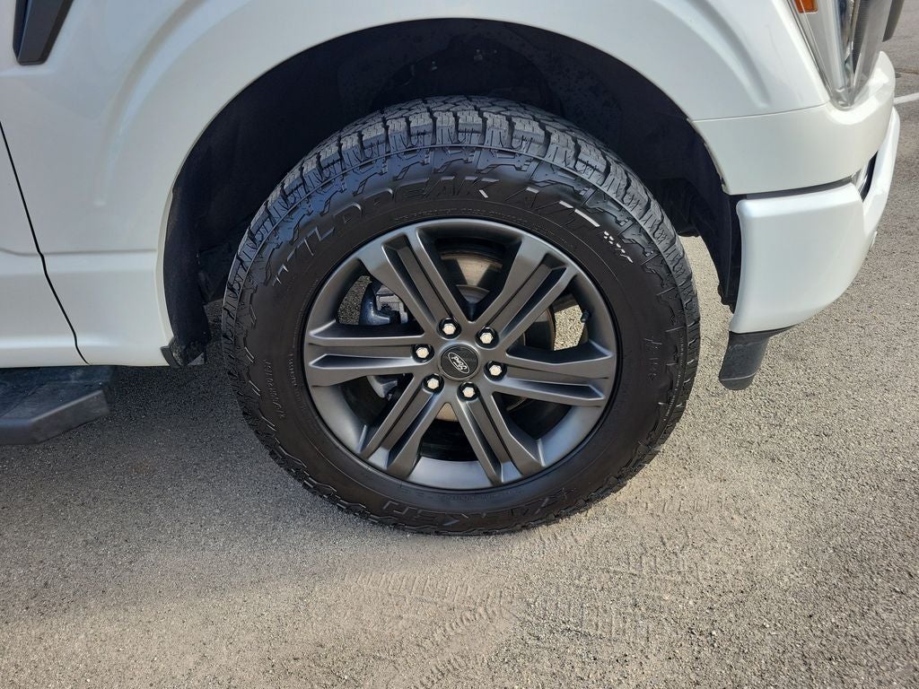 Photo 5